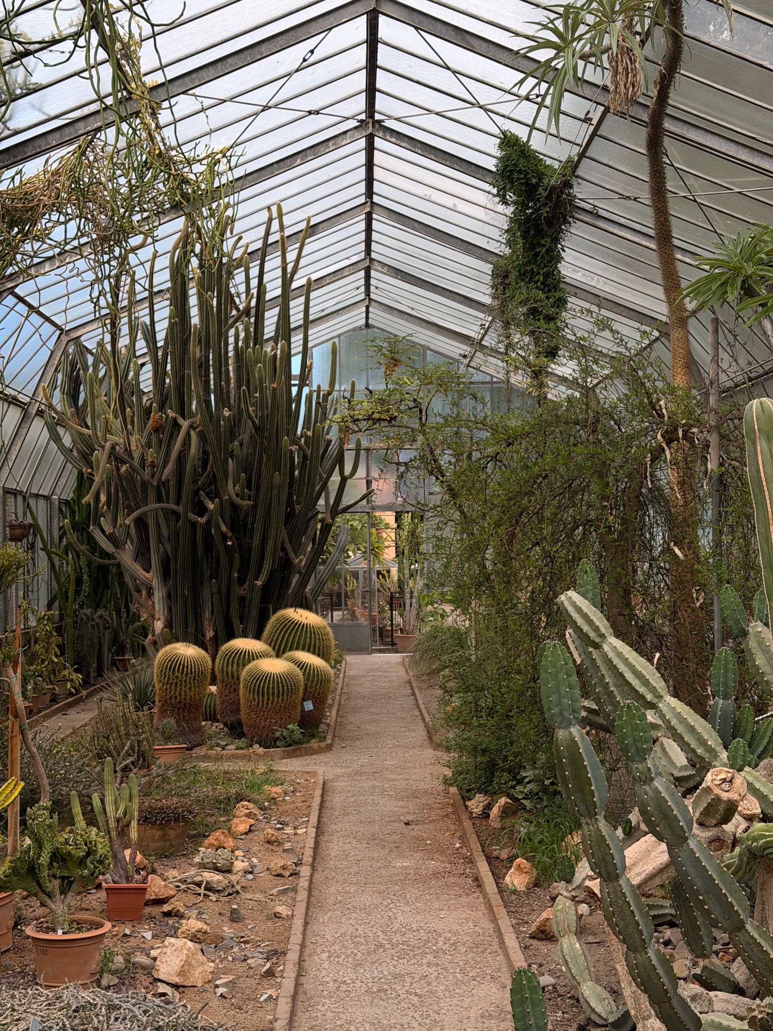 Orto Botanico di Palermo