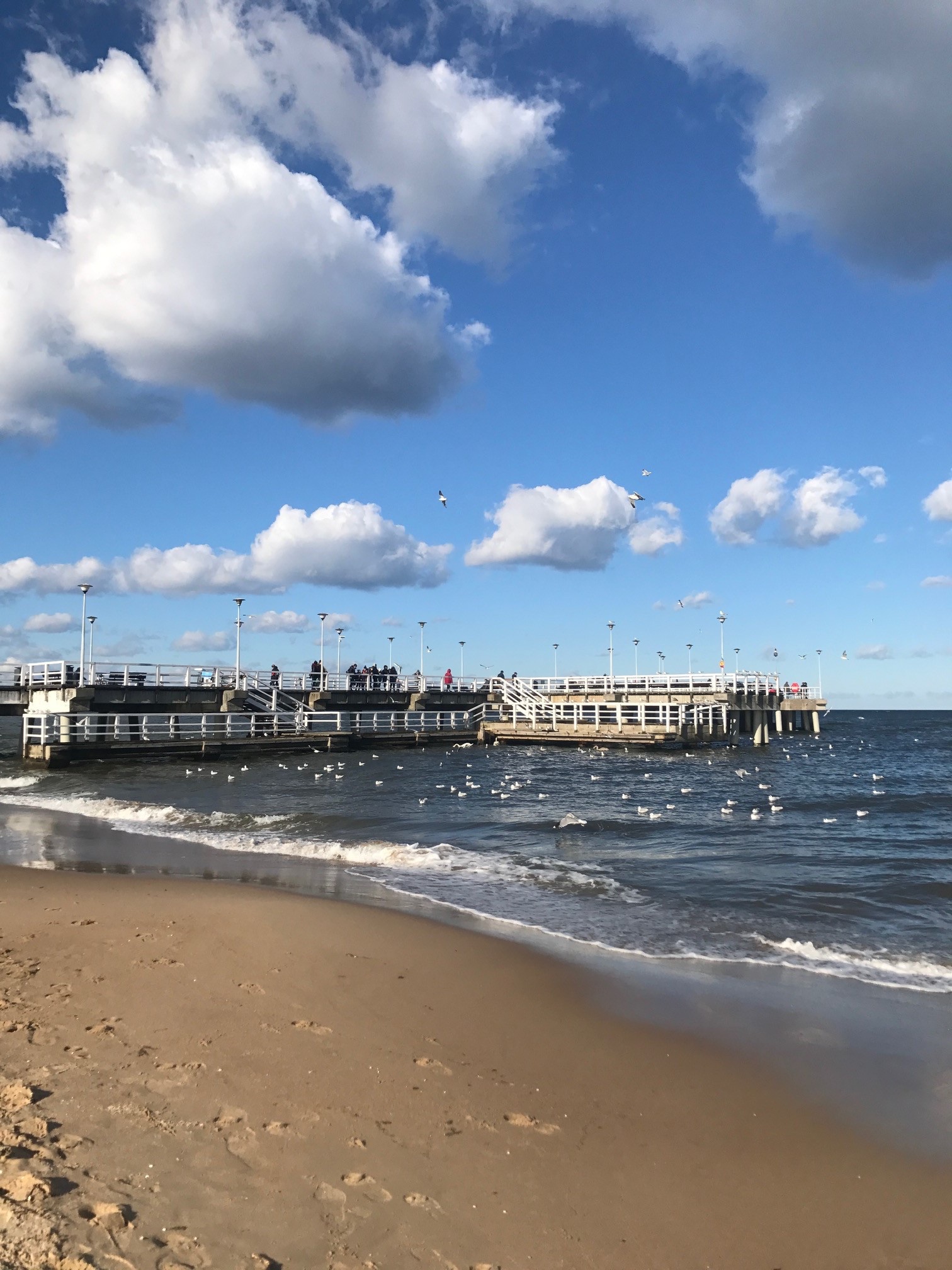 Molo i plaża w Brzeźnie