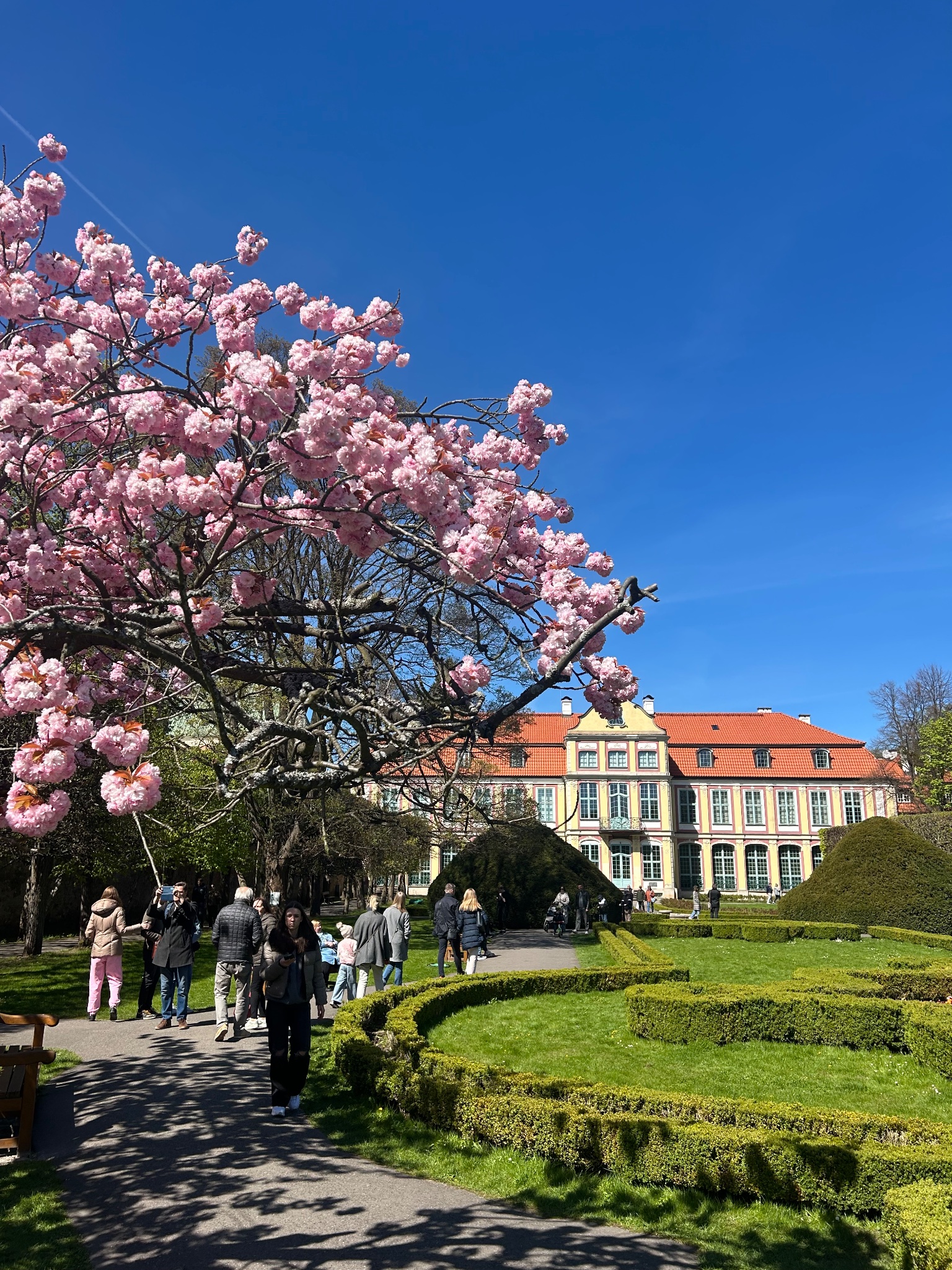 Park Oliwski